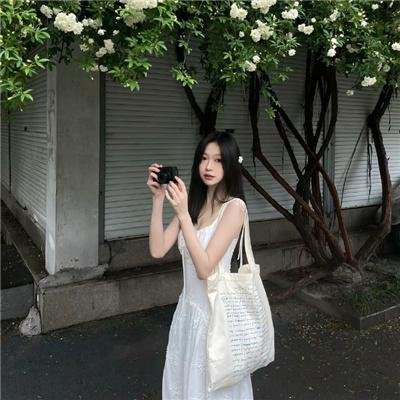 完美的主人